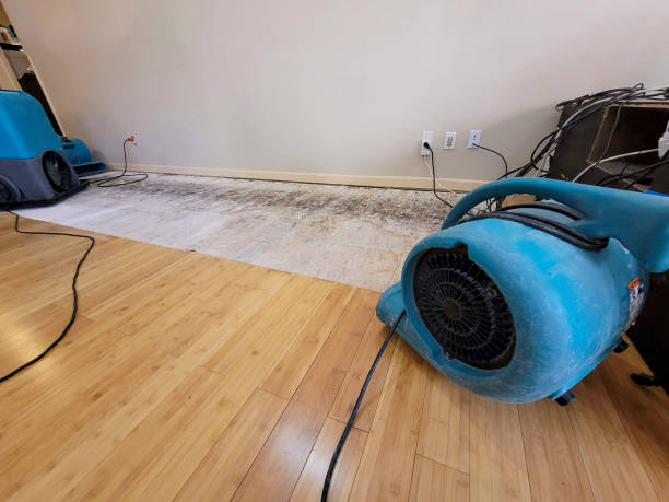 Reliable Water Damage Repair contractor in Centreville, IL by Hirex Water Damage