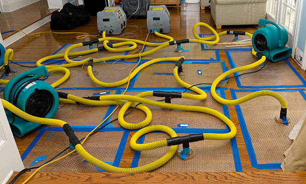 Professional Water Damage Repair technician working in Centreville, IL